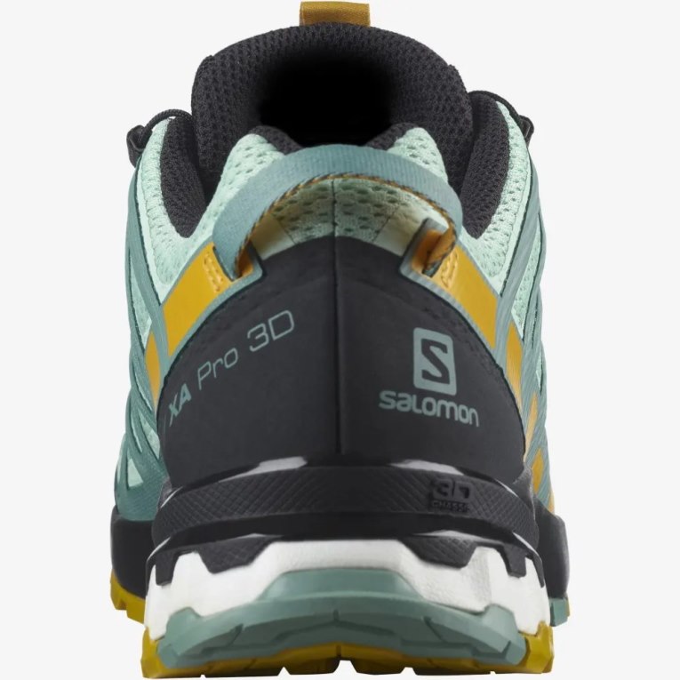 Tenis Para Trail Running Salomon Xa Pro 3d V8 Mujer Verde Menta | MX MFTA134